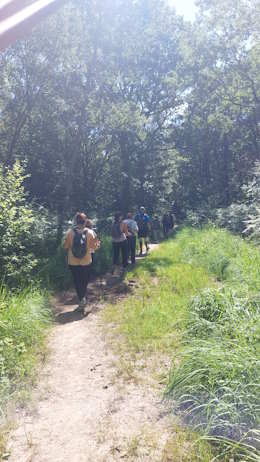Marche nordique 26-27 – Image 2